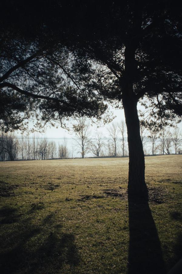 Draycote Hotel And Whitefields Golf Course Rugby Exteriör bild
